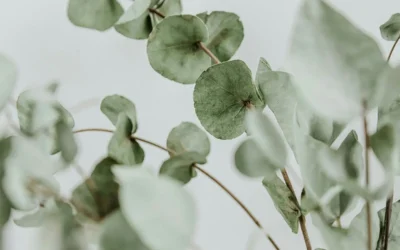 Broken Bow Spa Etiquette: Everything You Need to Know