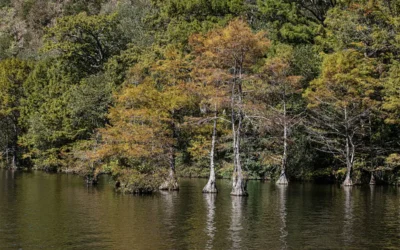 7 Relaxing Things to Do in Hochatown