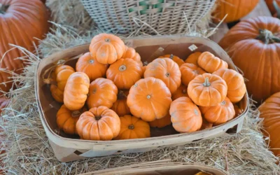 Things to Do in Hochatown This Fall