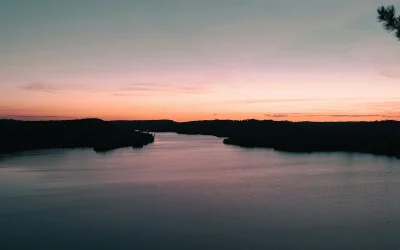 7 Mind and Body Harmony Tips